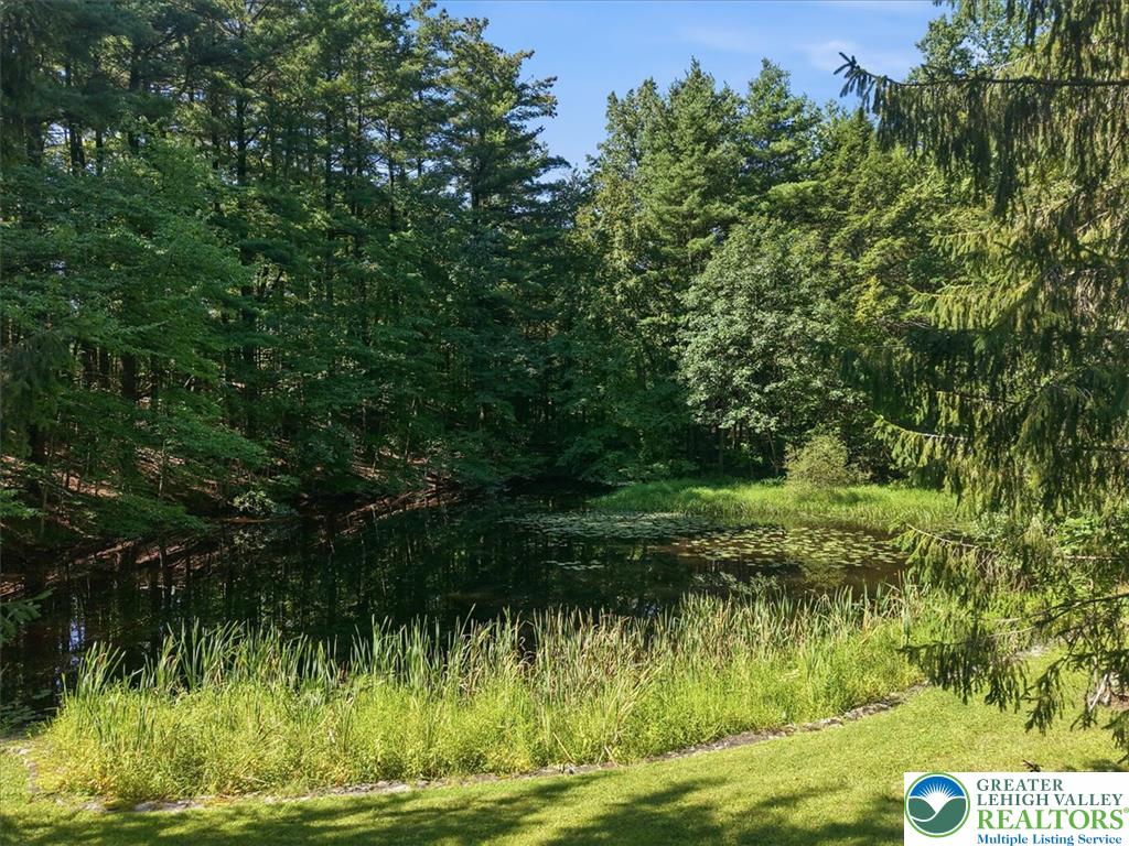1408 Fox Gap Road Property Photo 36