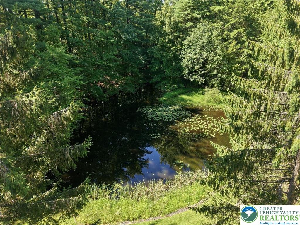 1408 Fox Gap Road Property Photo 37