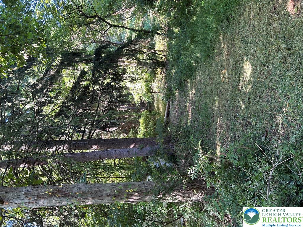 1846 Independent Road Property Photo 3
