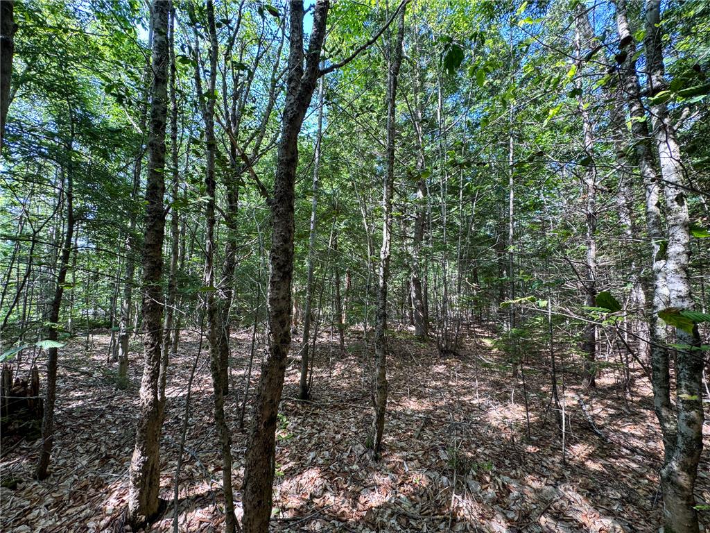 511 North Shore Drive & Linden Drive Property Photo 1