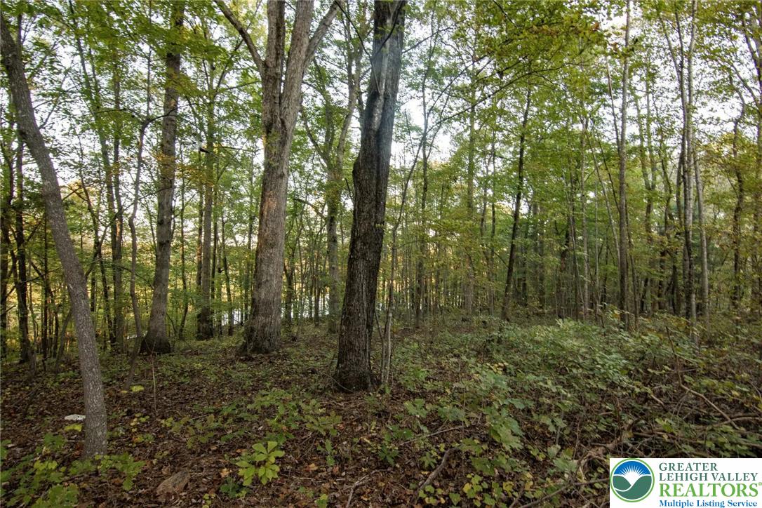707 Walnut Lane Property Photo 1