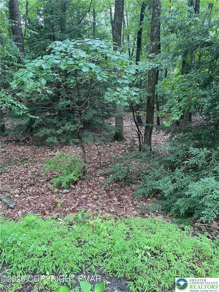 70 Woodland Road Property Photo 1