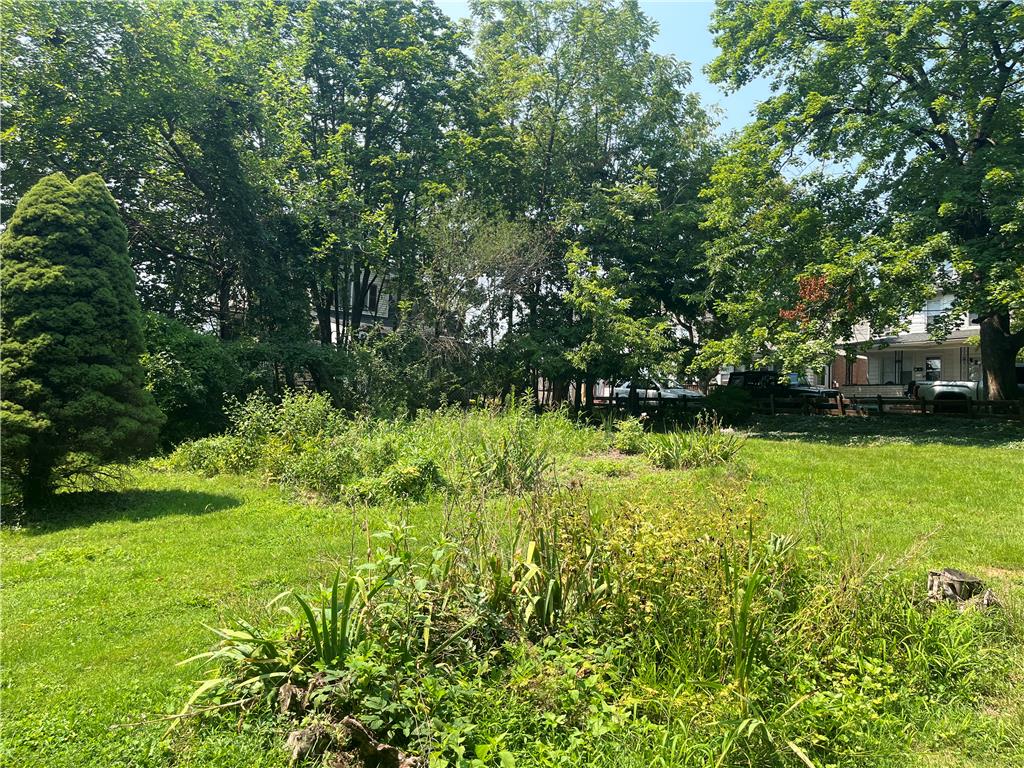 2300 Sycamore Street Property Photo 4