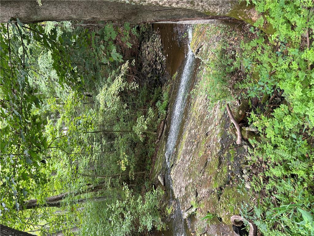 7 Allegheny Road Property Photo 21