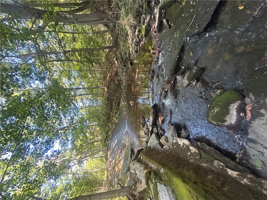 7 Allegheny Road Property Photo 25
