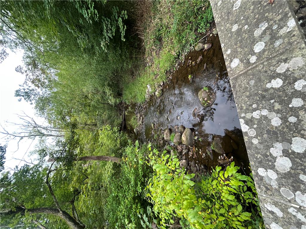 7 Allegheny Road Property Photo 69
