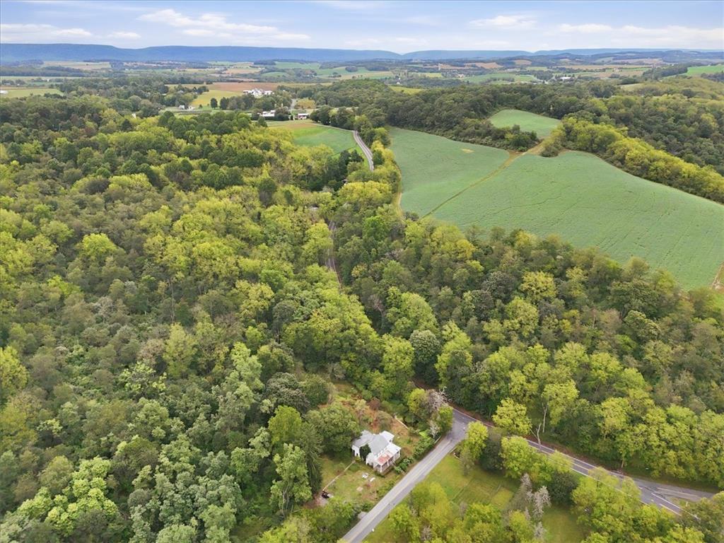 7007 Bausch Road Property Photo 70