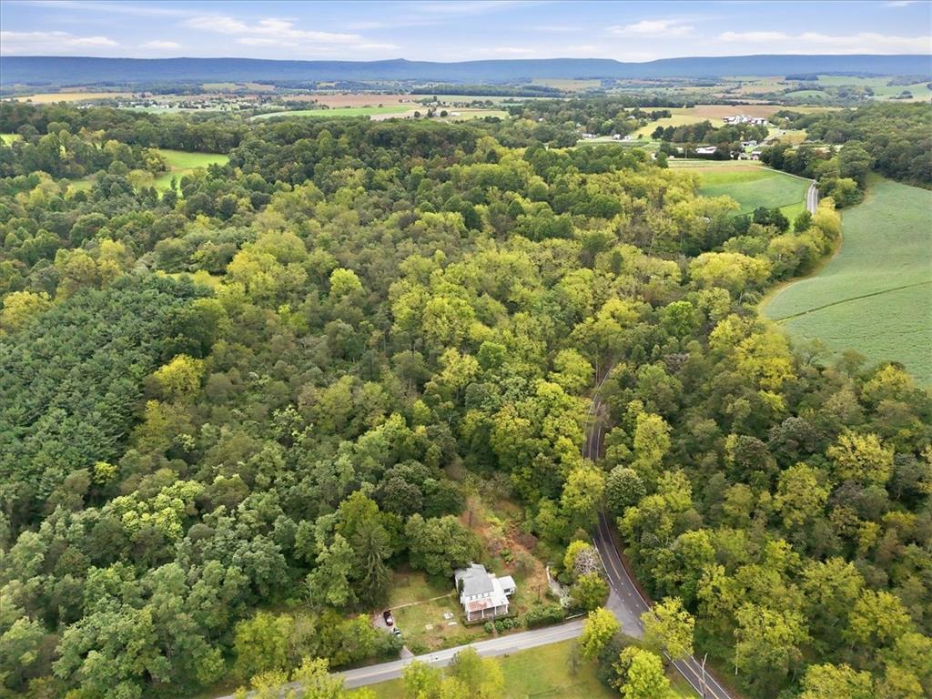 7007 Bausch Road Property Photo 71