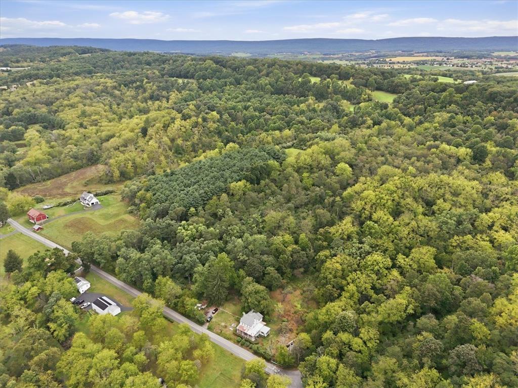 7007 Bausch Road Property Photo 72
