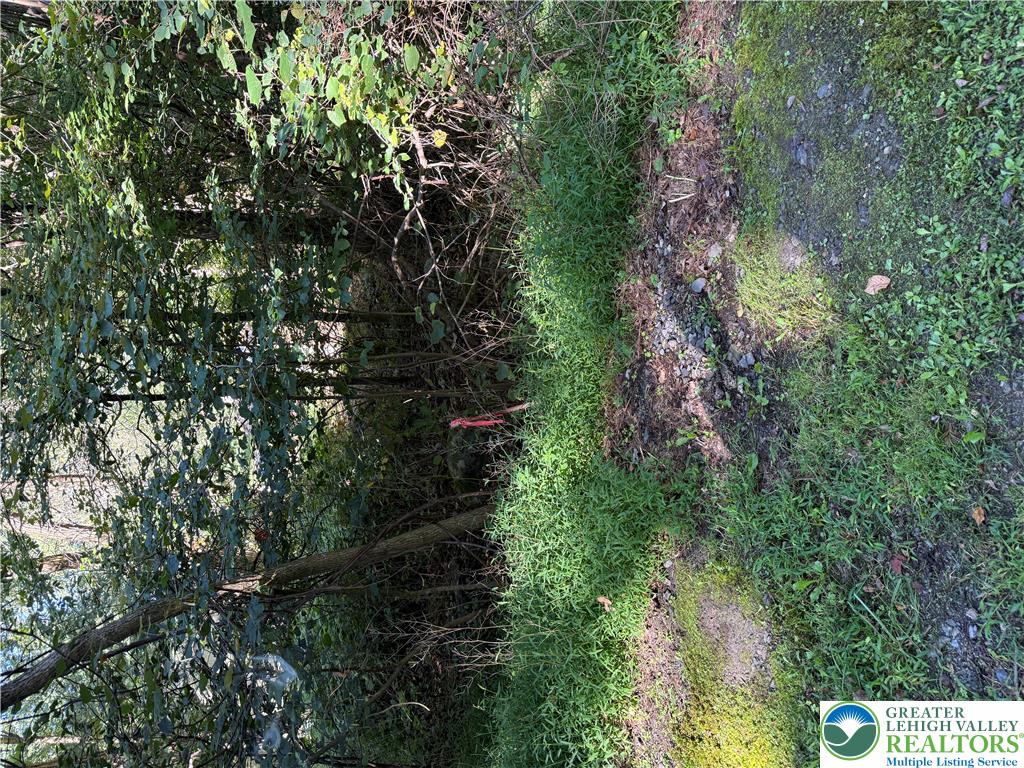 3240 Woodland Drive Property Photo 16