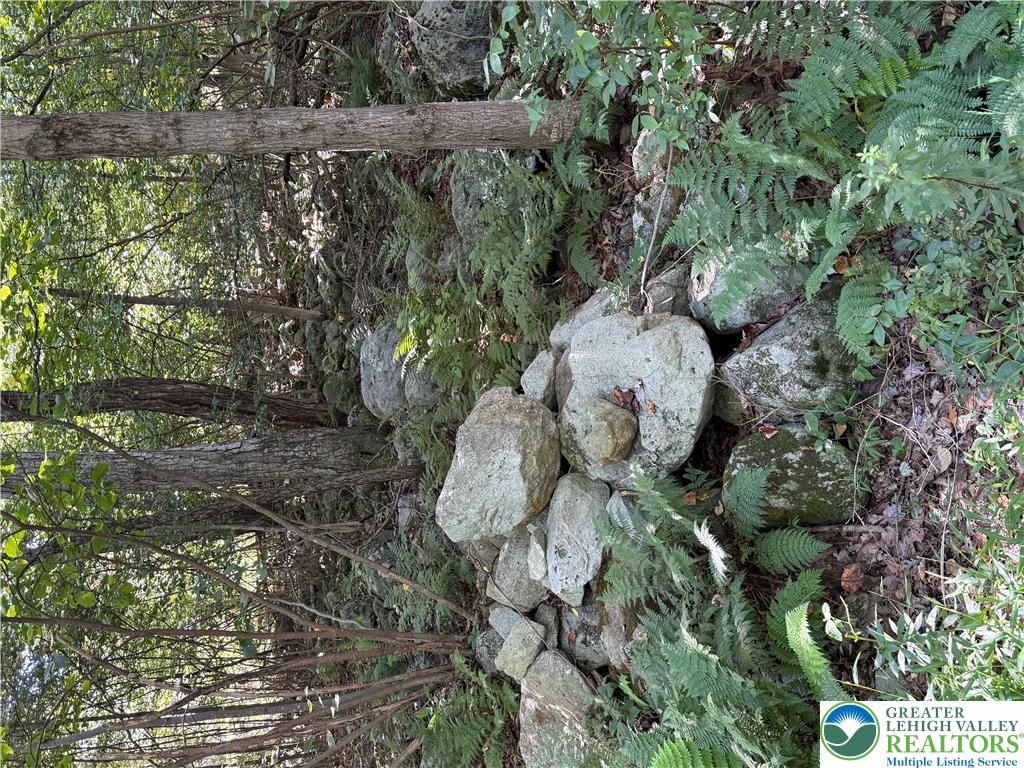 3240 Woodland Drive Property Photo 18