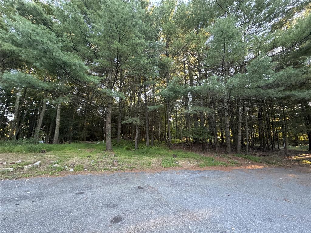 189 Turkey Ridge Drive Property Photo 2