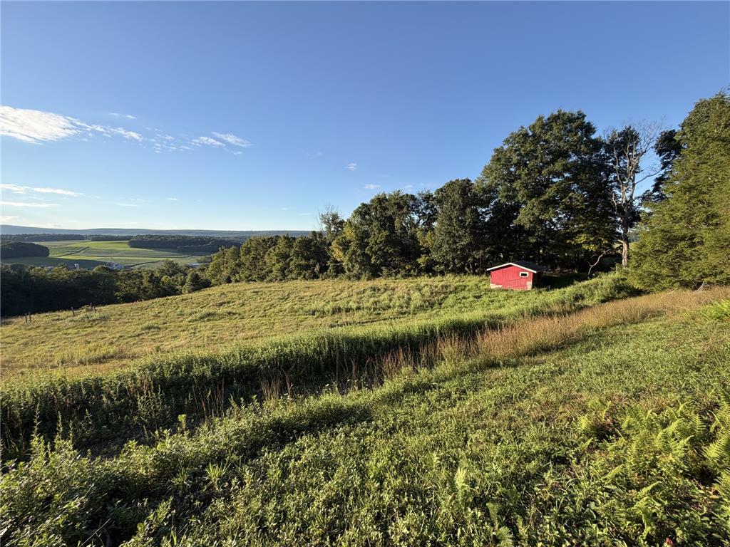 189 Turkey Ridge Drive Property Photo 16