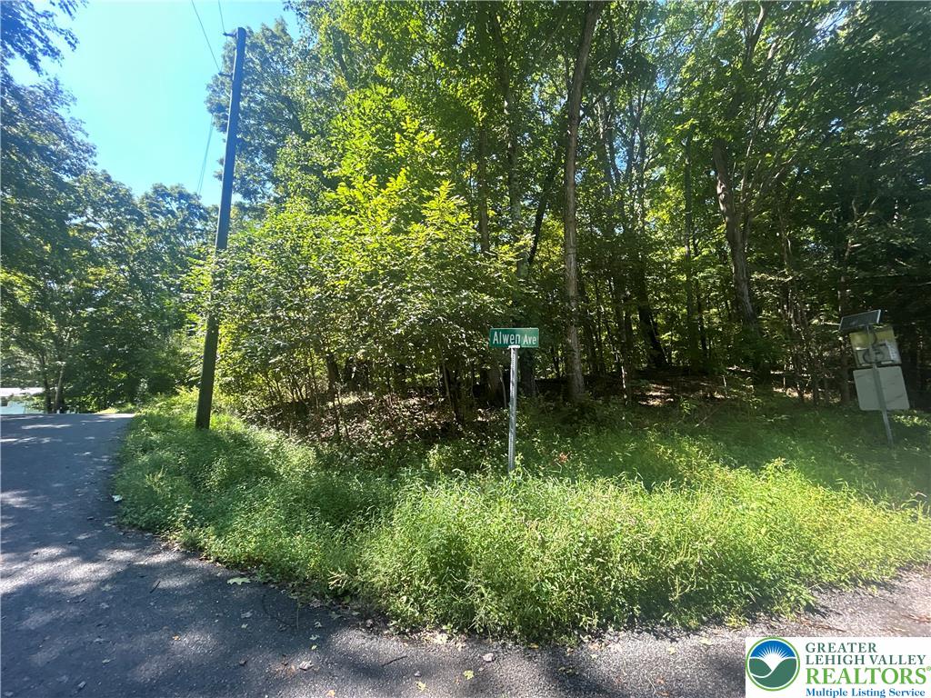 T 508 Lots #15 And #16 Road Property Photo 1
