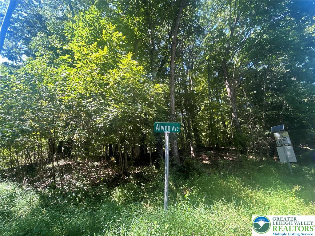 T 508 Lots #15 And #16 Road Property Photo 2