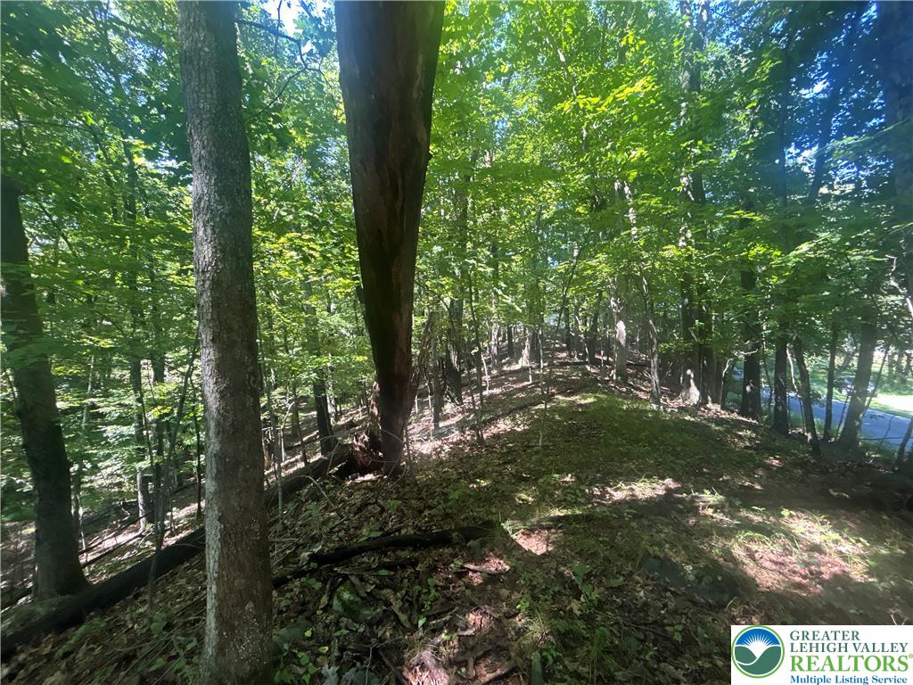 T 508 Lots #15 And #16 Road Property Photo 3