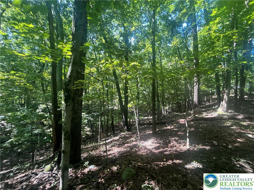 T 508 Lots #15 And #16 Road Property Photo 5