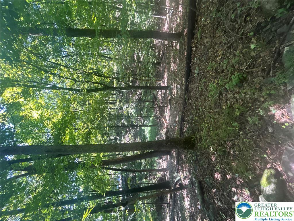 T 508 Lots #15 And #16 Road Property Photo 9