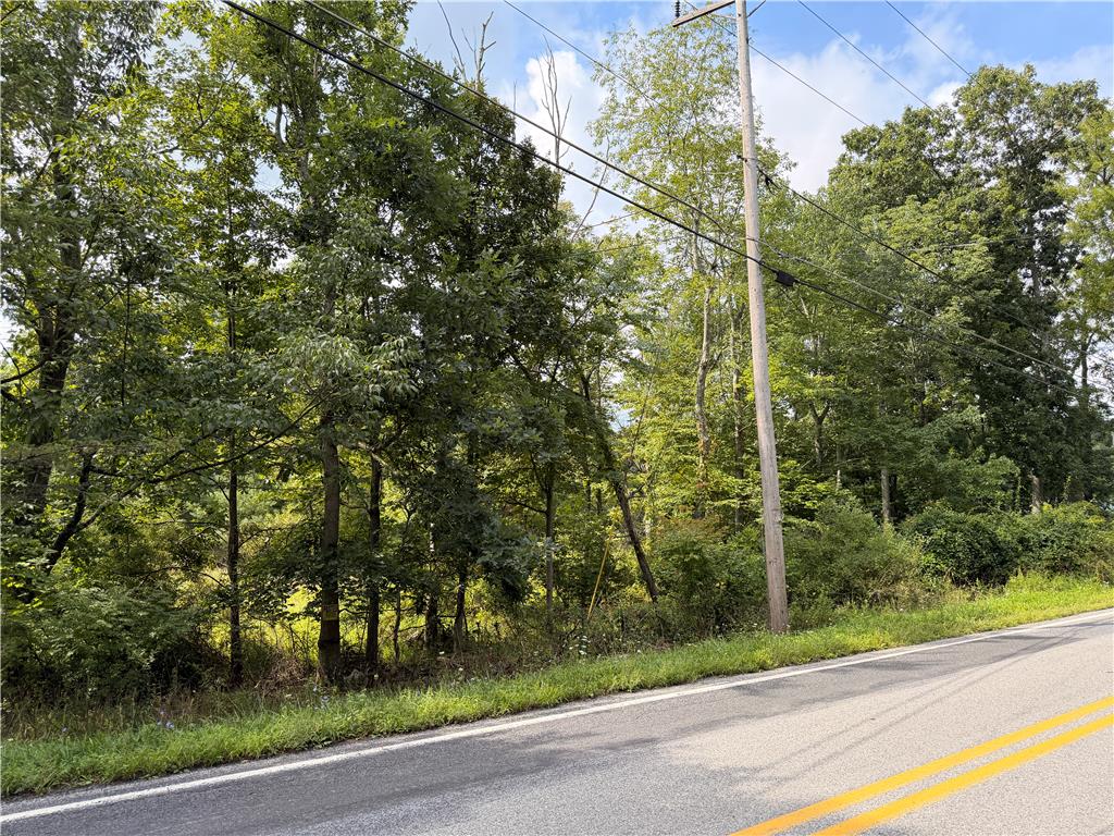 0 Upper Lakeview Drive Property Photo 1