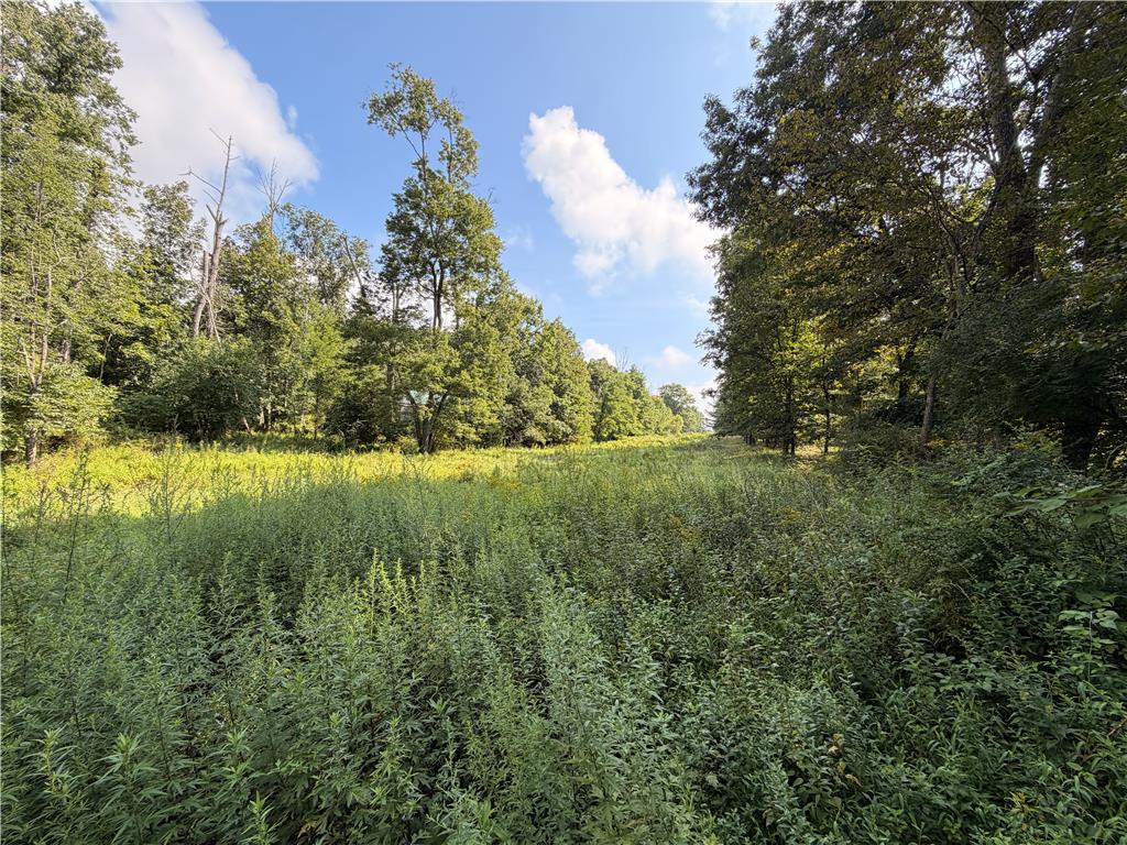 0 Upper Lakeview Drive Property Photo 2