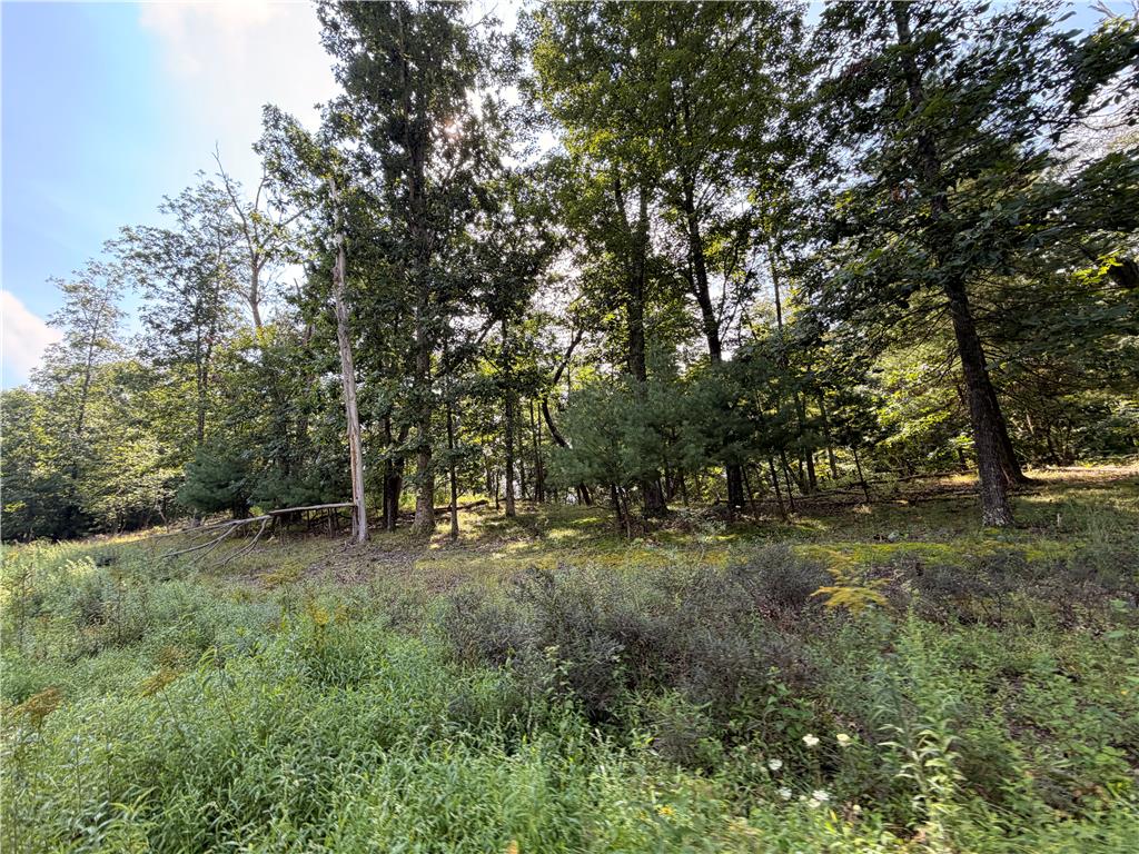 0 Upper Lakeview Drive Property Photo 3