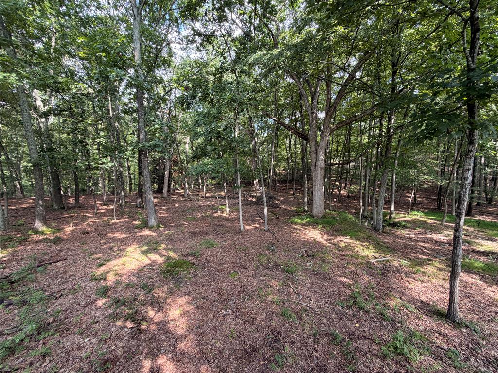 0 Upper Lakeview Drive Property Photo 4