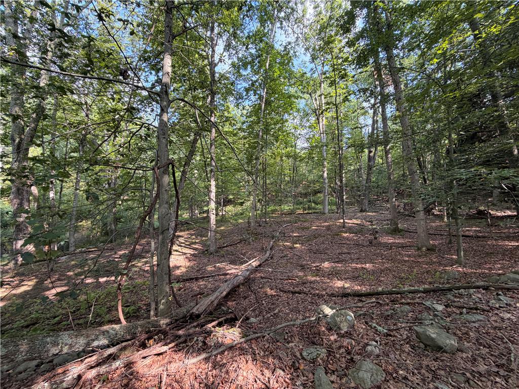 0 Upper Lakeview Drive Property Photo 5
