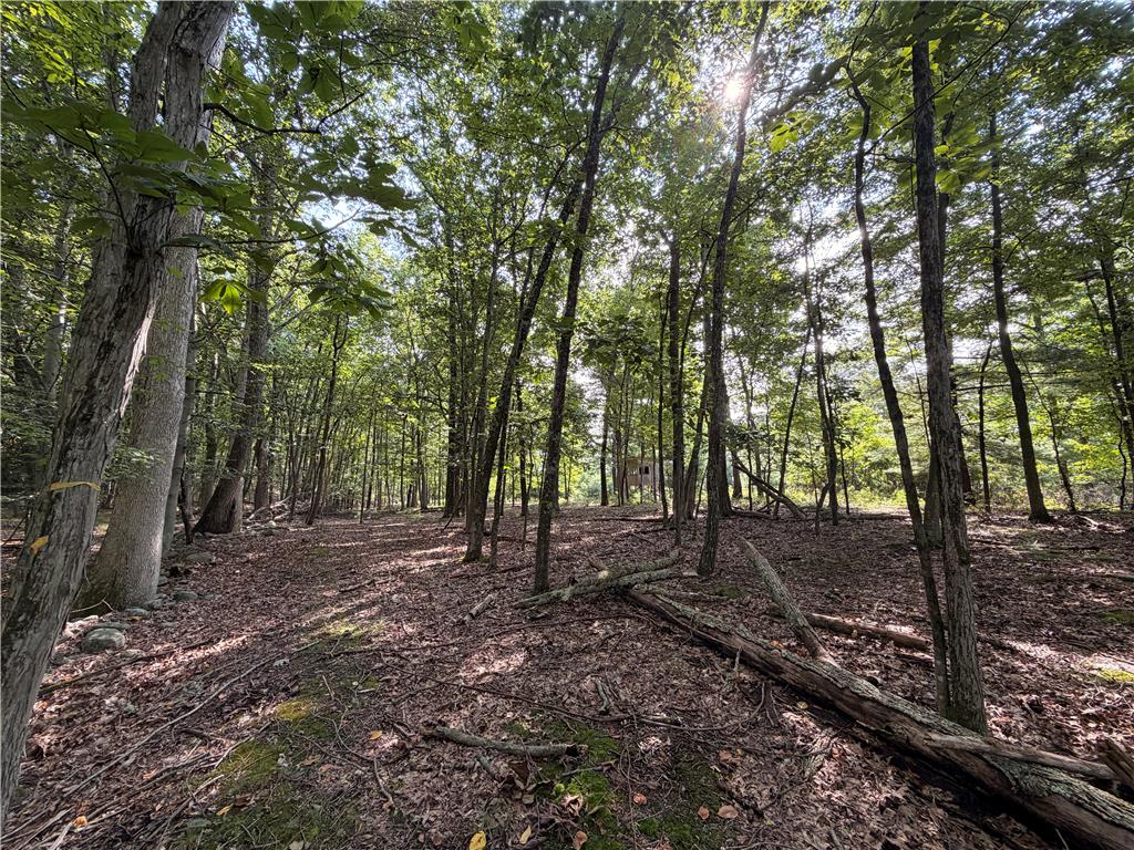 0 Upper Lakeview Drive Property Photo 6