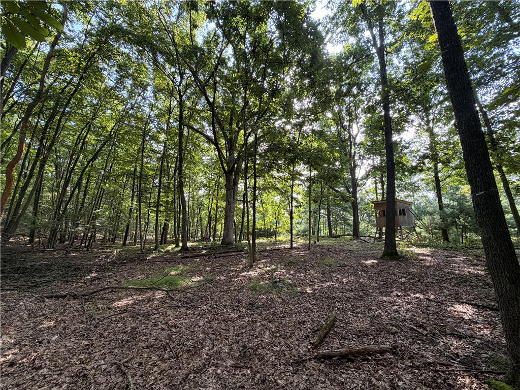 0 Upper Lakeview Drive Property Photo 7