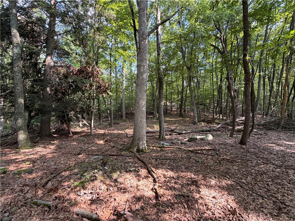 0 Upper Lakeview Drive Property Photo 10