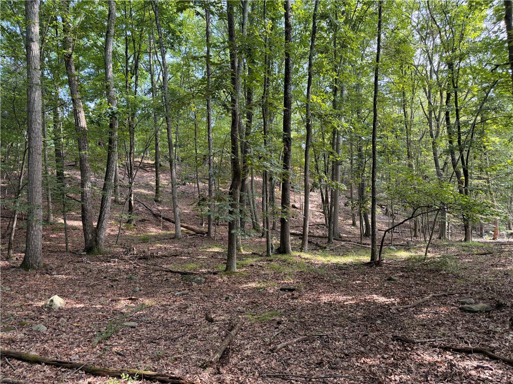 0 Upper Lakeview Drive Property Photo 11