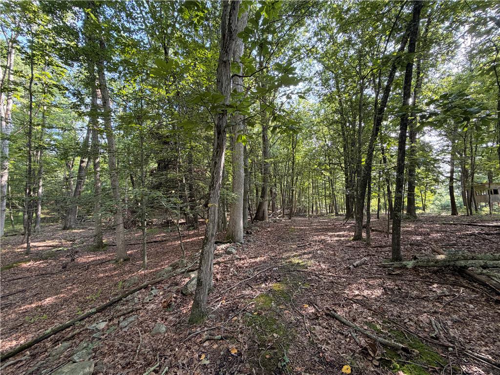 0 Upper Lakeview Drive Property Photo 12
