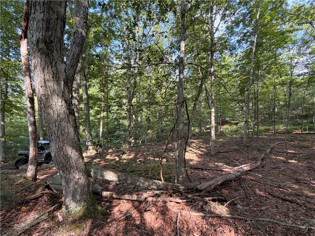 0 Upper Lakeview Drive Property Photo 13