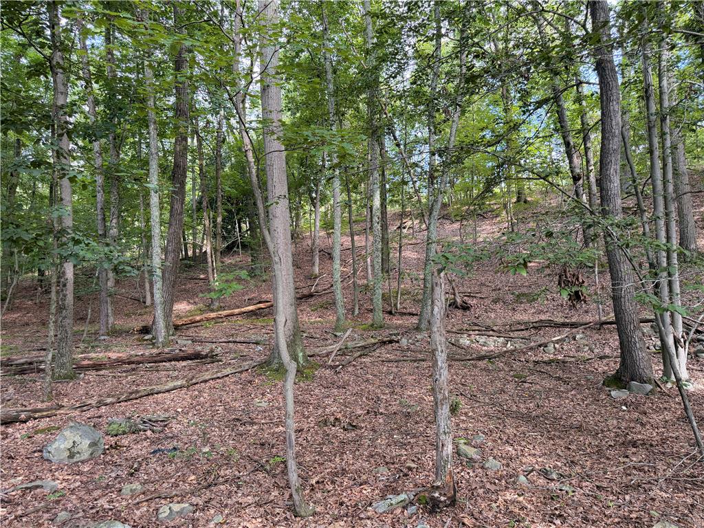 0 Upper Lakeview Drive Property Photo 14