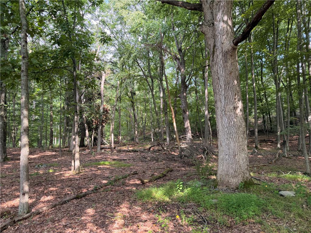 0 Upper Lakeview Drive Property Photo 15