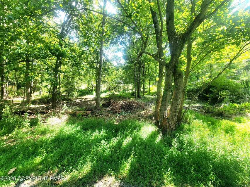 7743 LAKE Road Property Photo 1