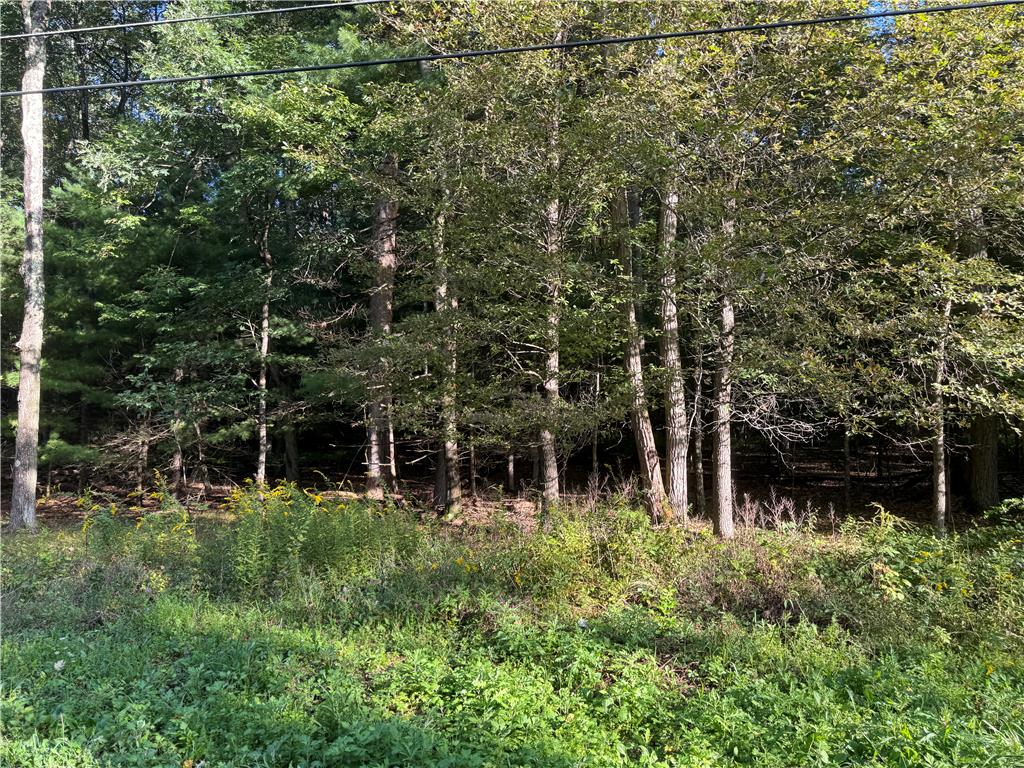 Vacant Lot Jefferson Street Property Photo 1