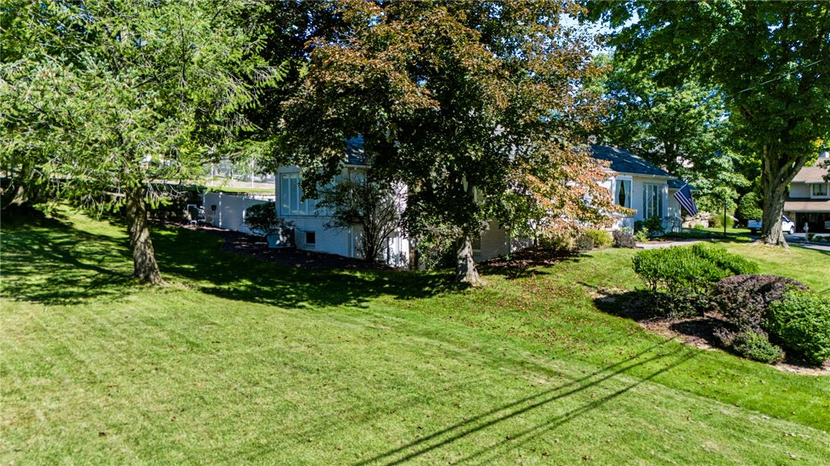 203 Vine Street Property Photo 38