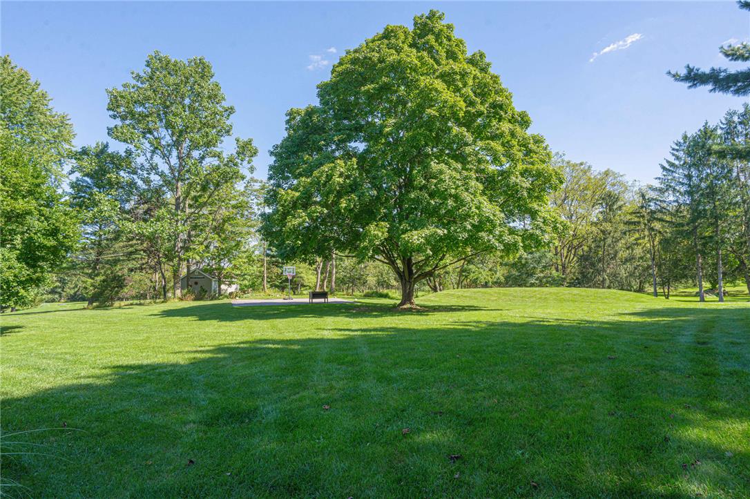 8357 Winchester Lane Property Photo 41