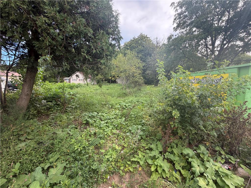 8745 Ashfield Road Property Photo 15