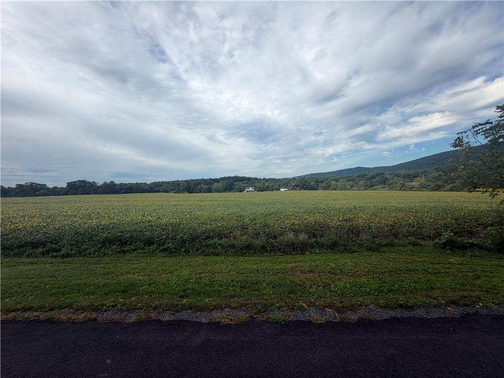 8745 Ashfield Road Property Photo 16