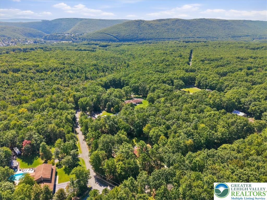 509 Lehigh Gorge Drive Property Photo 41