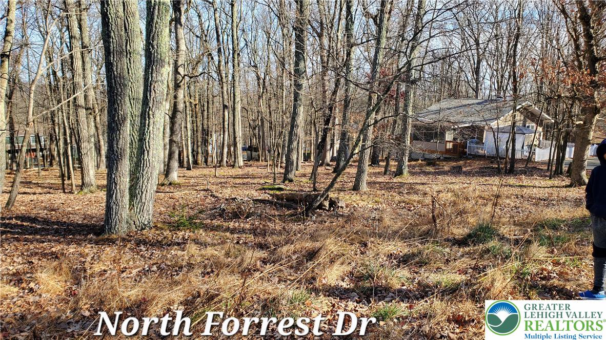 0 N. Forest Drive Property Photo 3