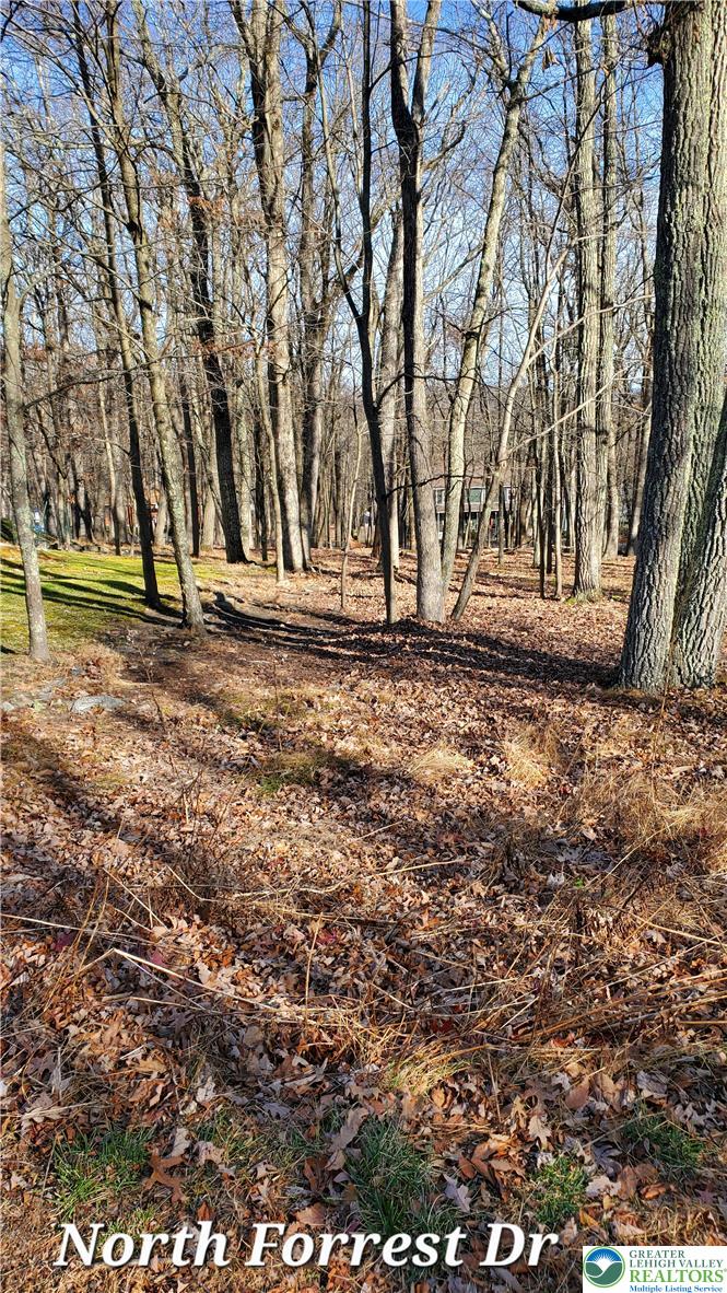 0 N. Forest Drive Property Photo 4