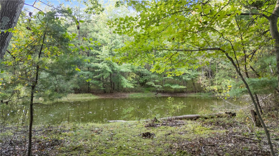 Jamestown Drive Property Photo 3