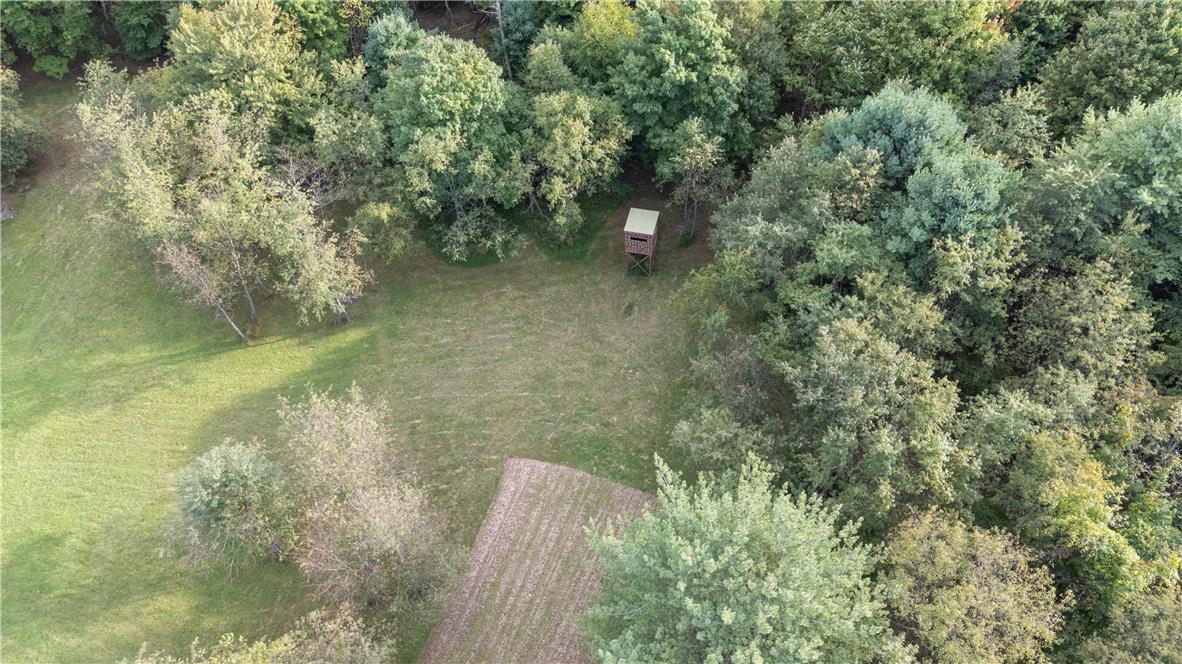 Jamestown Drive Property Photo 7