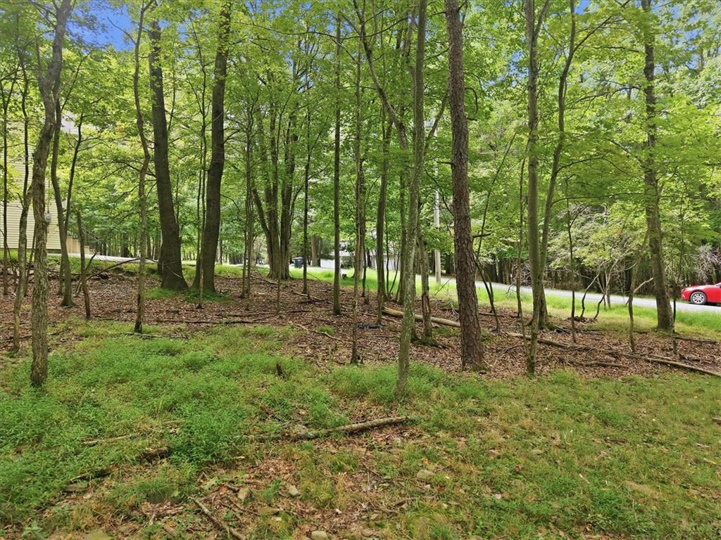 38 Payallup Trail Property Photo 73