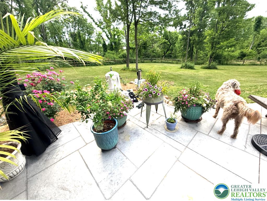 8581 Hensingersville Road Property Photo 28