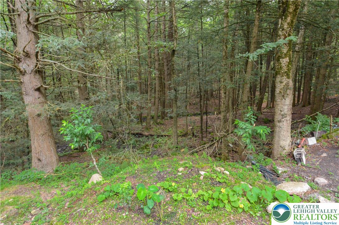 120 Spring Run Road Property Photo 24