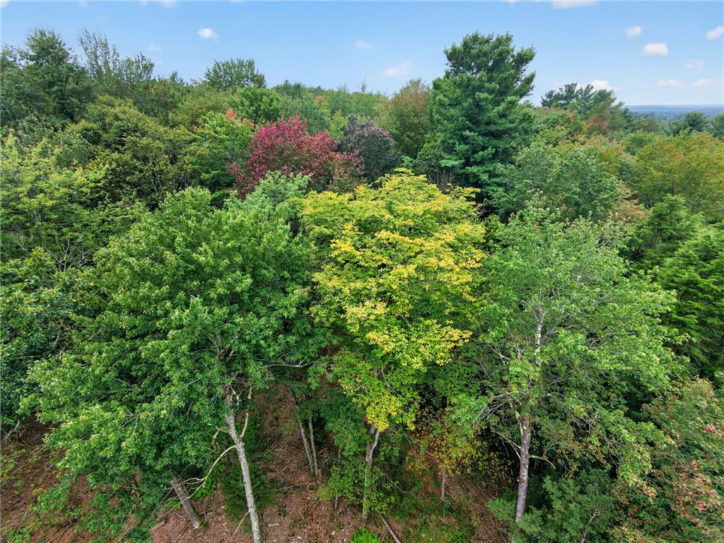 120 Spring Run Road Property Photo 26